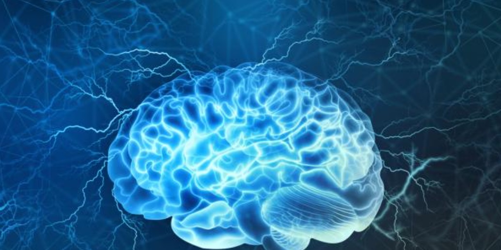 Neuro Head_0.jpg