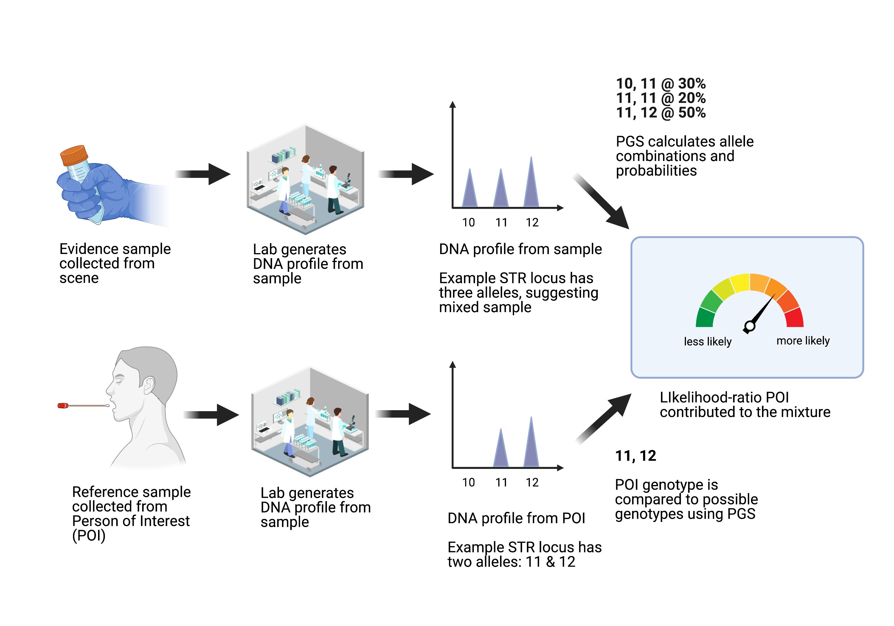 Figure 21. Probabilistic Genotyping Systems (PGS) are used to identify potential contributor-genotype combinations in a complex DNA mixture, and assign the likelihood ratio that a person of interest (POI) is a contributor to the mixture.