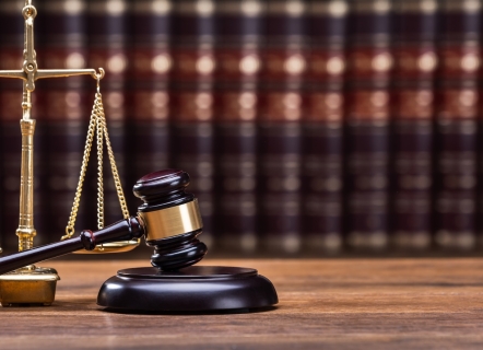 Appeals of Sua Sponte Remand Orders in Class Action Fairness Act (CAFA) Removals, 2014–2023