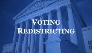 Voting and Redistricting discussed on Term Talk